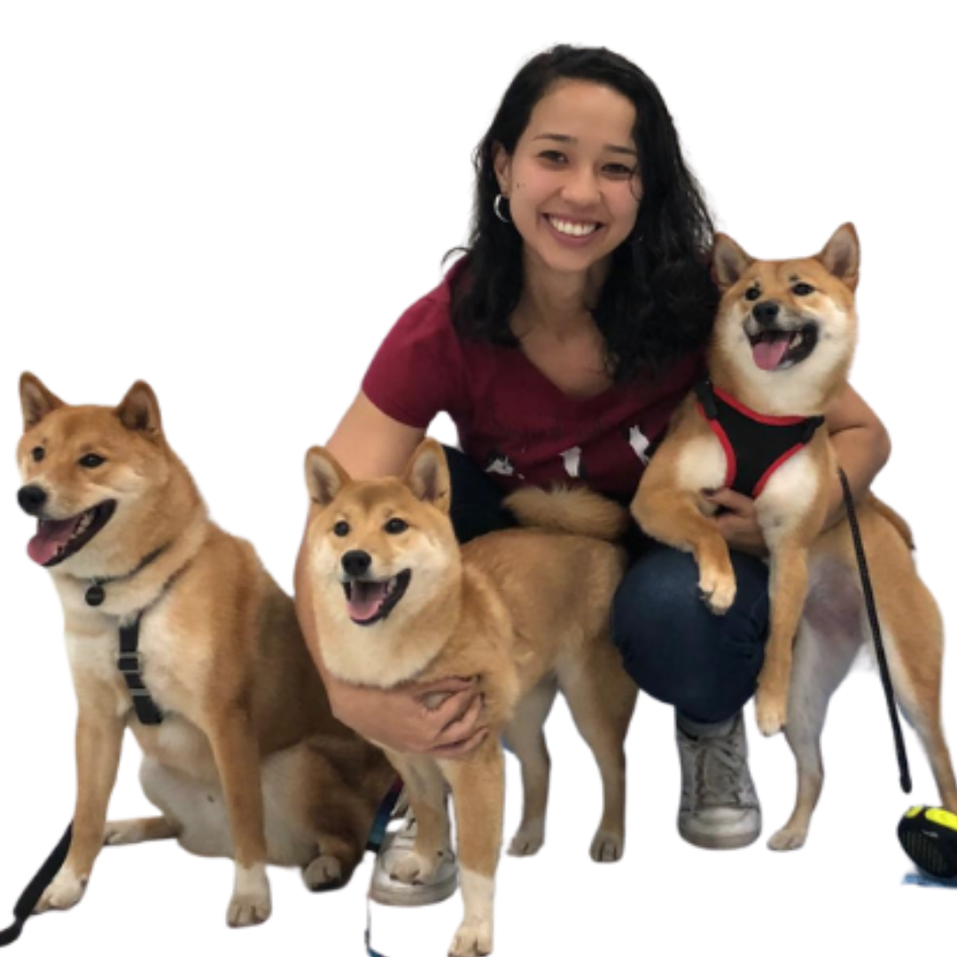 Débora K. com filhotes de Shiba Inu