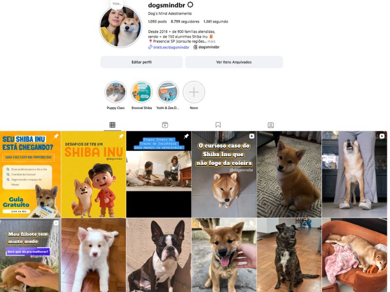 Shiba Inu Instagram