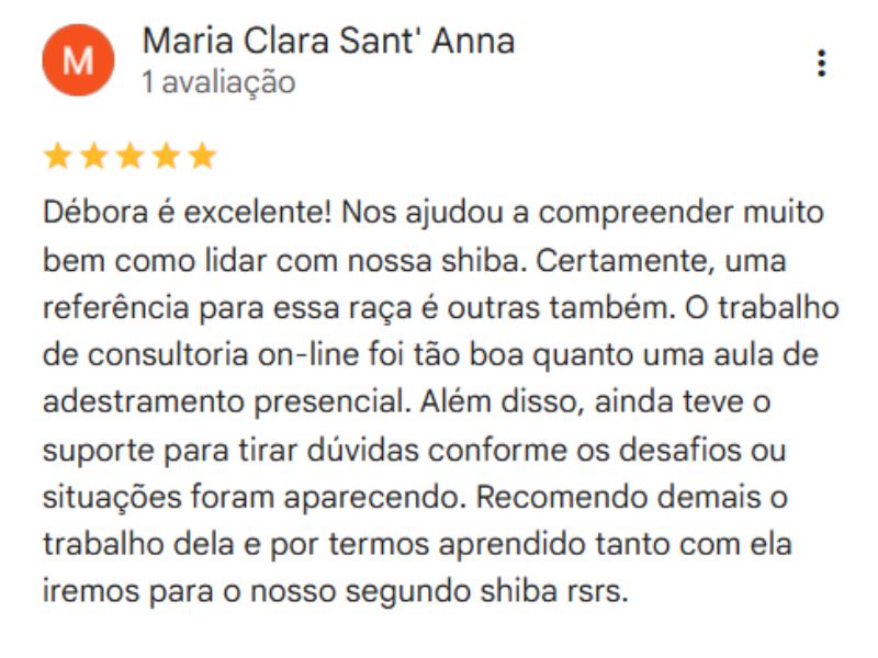 Depoimento 2 sobre a consultoria para filhote de Shiba Inu