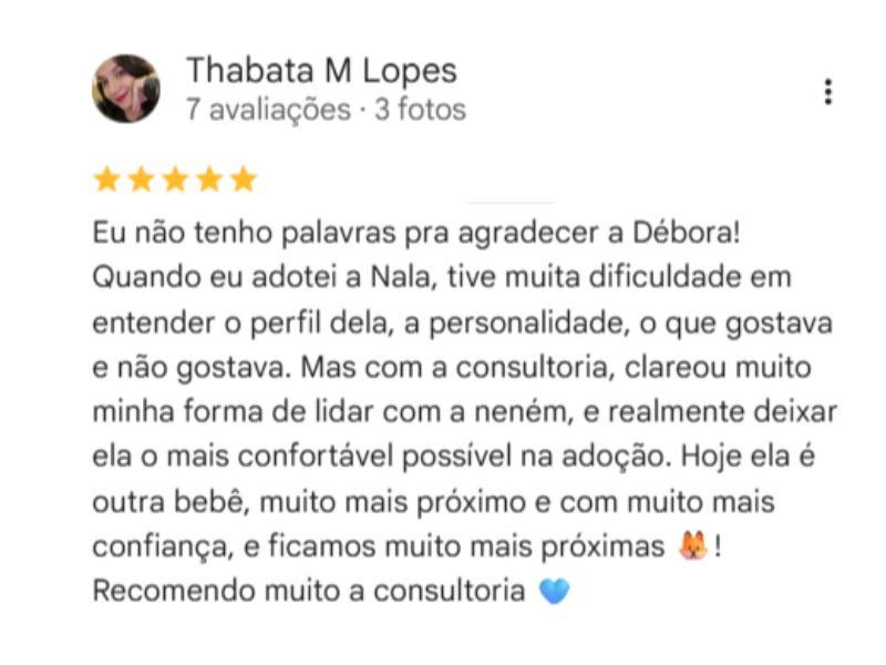 Depoimento 5 sobre a consultoria para filhote de Shiba Inu