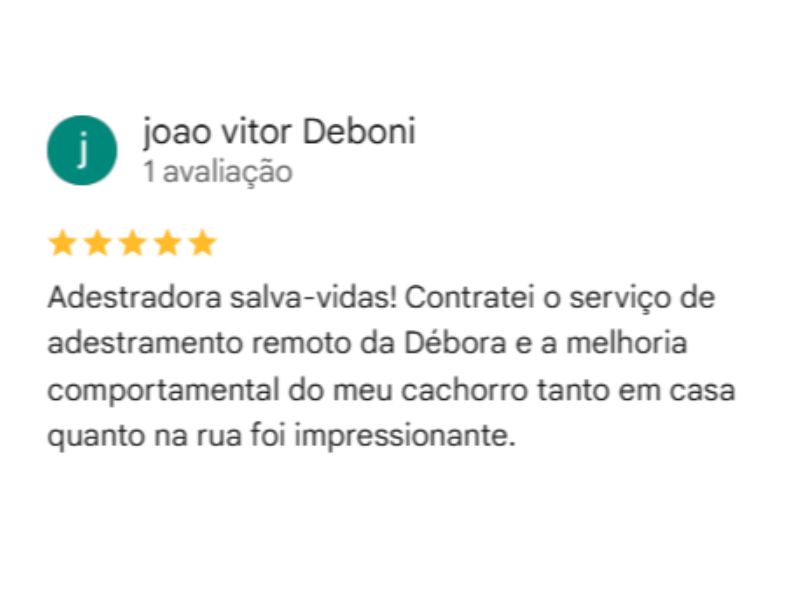 Depoimento 6 sobre a consultoria para filhote de Shiba Inu